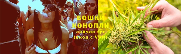 PSILOCYBIN Дмитриев