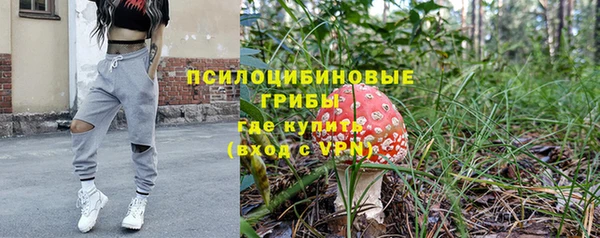 альфа пвп Дмитровск