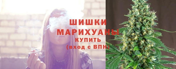 альфа пвп Дмитровск