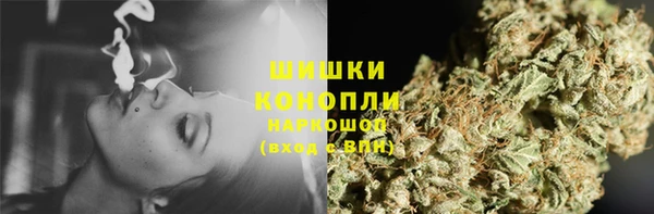 PSILOCYBIN Дмитриев