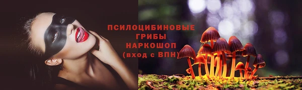mdma Дмитров