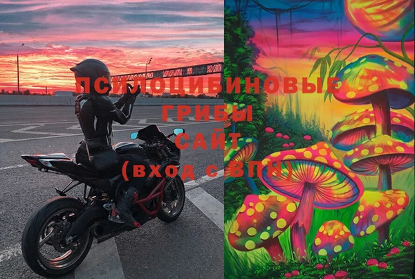 PSILOCYBIN Дмитриев
