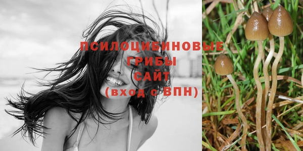 PSILOCYBIN Дмитриев