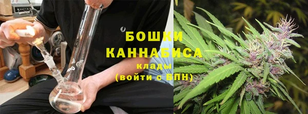 PSILOCYBIN Дмитриев